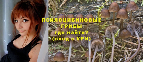 дживик Горно-Алтайск