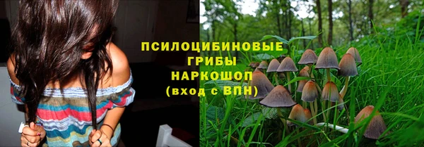 дживик Горно-Алтайск