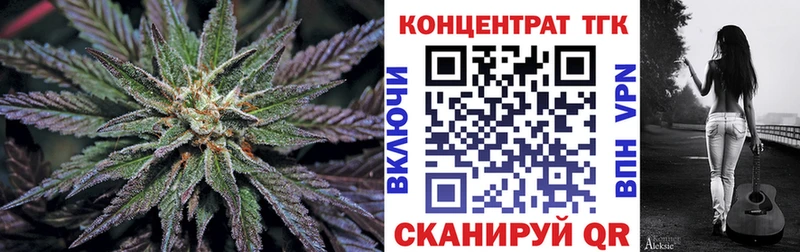 Купить где  Вилючинск  ТГК концентрат 