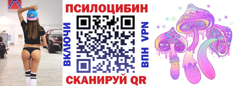 Купить где  Вилючинск  Галлюциногенные грибы Psilocybine cubensis 