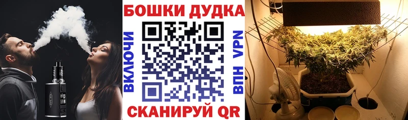 Купить где  Вилючинск  Конопля Bruce Banner 